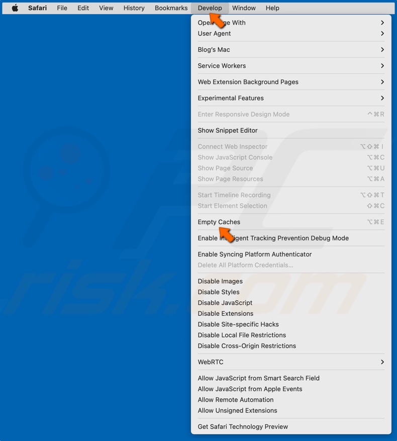 Otwórz menu Develop i kliknij opcję Empty Caches