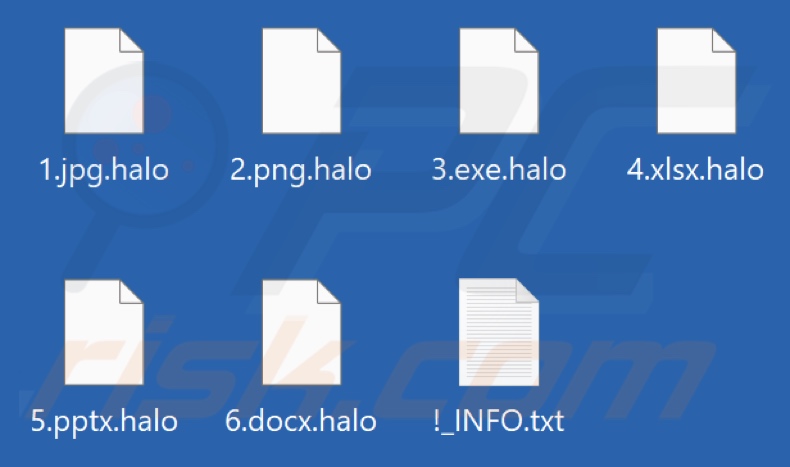 Pliki zaszyfrowane przez Halo ransomware (rozszerzenie .halo)