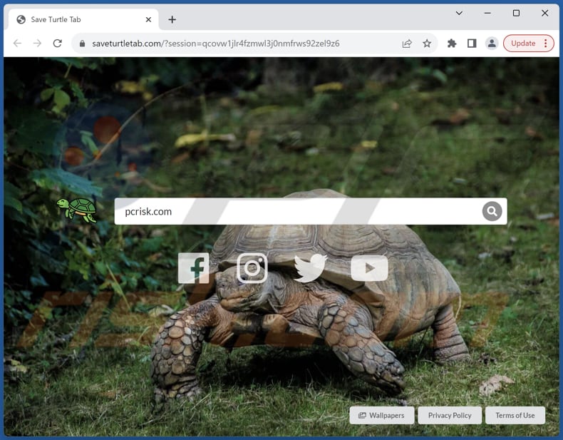 saveturtletab.com porywacz przeglądarki