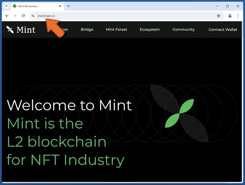 Wygląd prawdziwej strony internetowej Mint (mintchain.io)