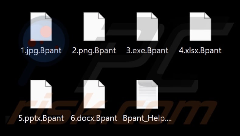 Pliki zaszyfrowane przez BlackPanther ransomware (rozszerzenie .Bpant)