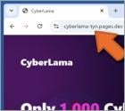 CyberLama Mint Oszustwo