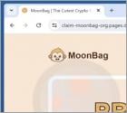 MoonBag Presale Oszustwo