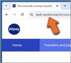 Fake BitPay Wallet Oszustwo