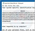 Ransomware InfiniteTear