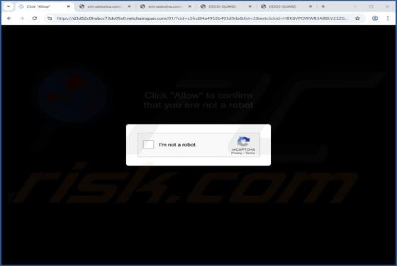 Netchainspan.com Reklamy