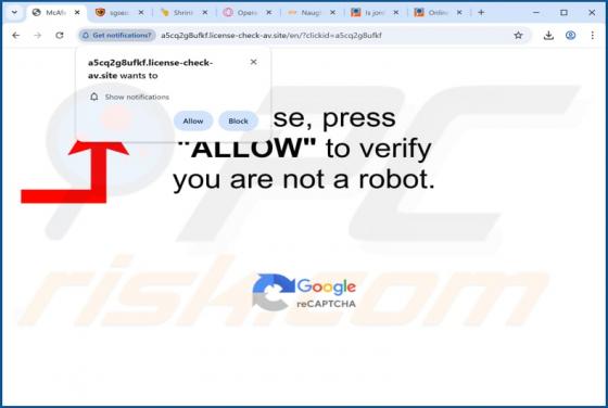 Reklamy License-check-av.site